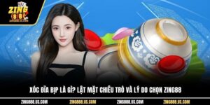 Xóc Đĩa Bịp Là Gì? Lật Mặt Chiêu Trò Và Lý Do Chọn Zing88